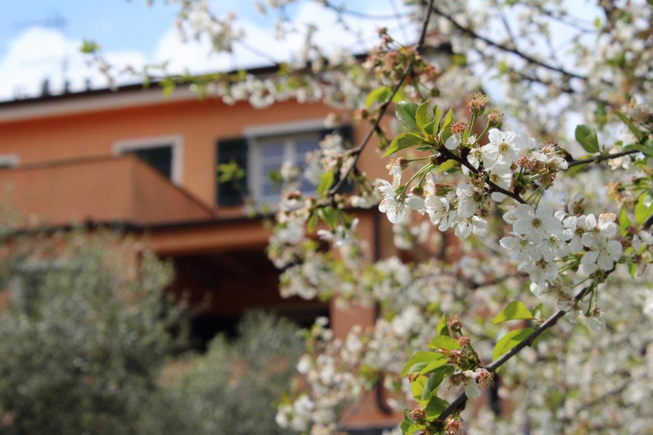 Villa Arancia Quiet, Central, Parking And Air Conditioning Levanto Exteriör bild