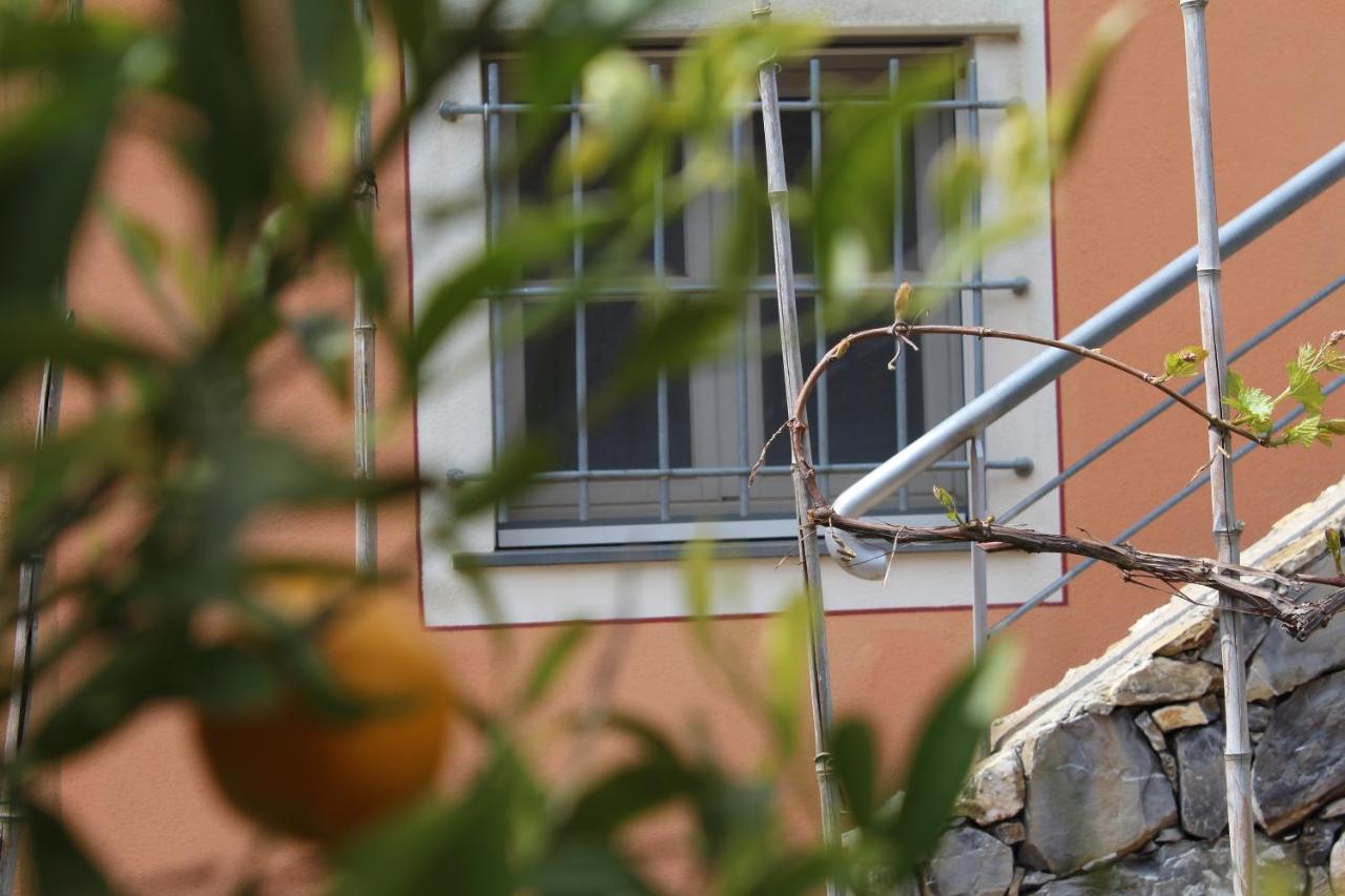 Villa Arancia Quiet, Central, Parking And Air Conditioning Levanto Exteriör bild