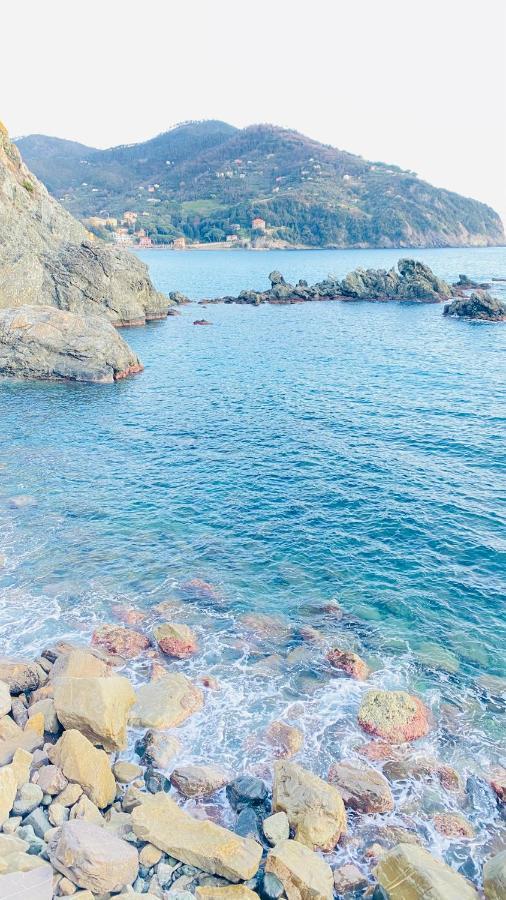 Villa Arancia Quiet, Central, Parking And Air Conditioning Levanto Exteriör bild
